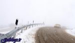 ۶ متجاوز مرزی بر اثر یخبندان در ارتفاعات چالدران جان باختند